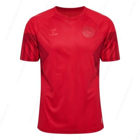 Pigūs Danija Home Futbolo marškinėliai 2022